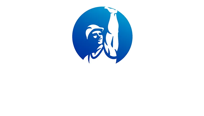 logo polpaico